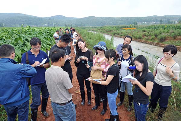 云天化“烤烟种植全程解决方案”取得实效